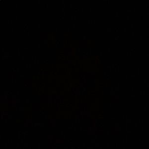 Meet your Posher, Gieona